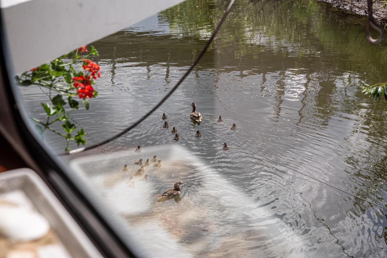 Botel Schiffsherberge Poeppelmann Dresden
